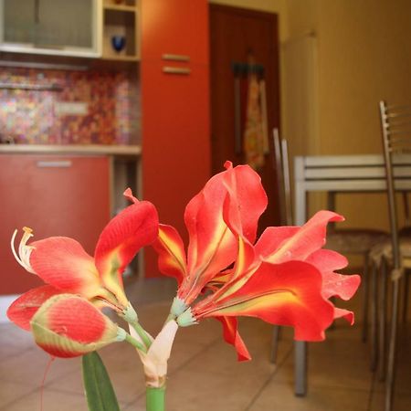 Pisa Town Bed & Breakfast Eksteriør bilde