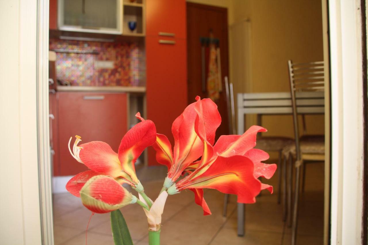 Pisa Town Bed & Breakfast Eksteriør bilde