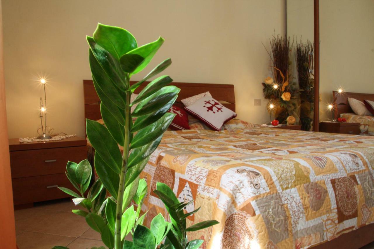 Pisa Town Bed & Breakfast Eksteriør bilde