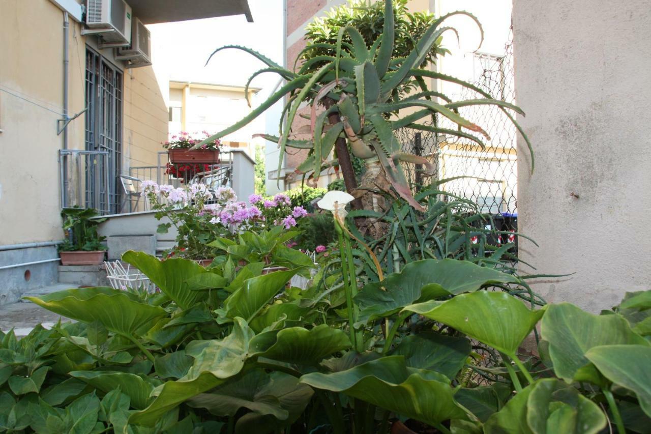 Pisa Town Bed & Breakfast Eksteriør bilde