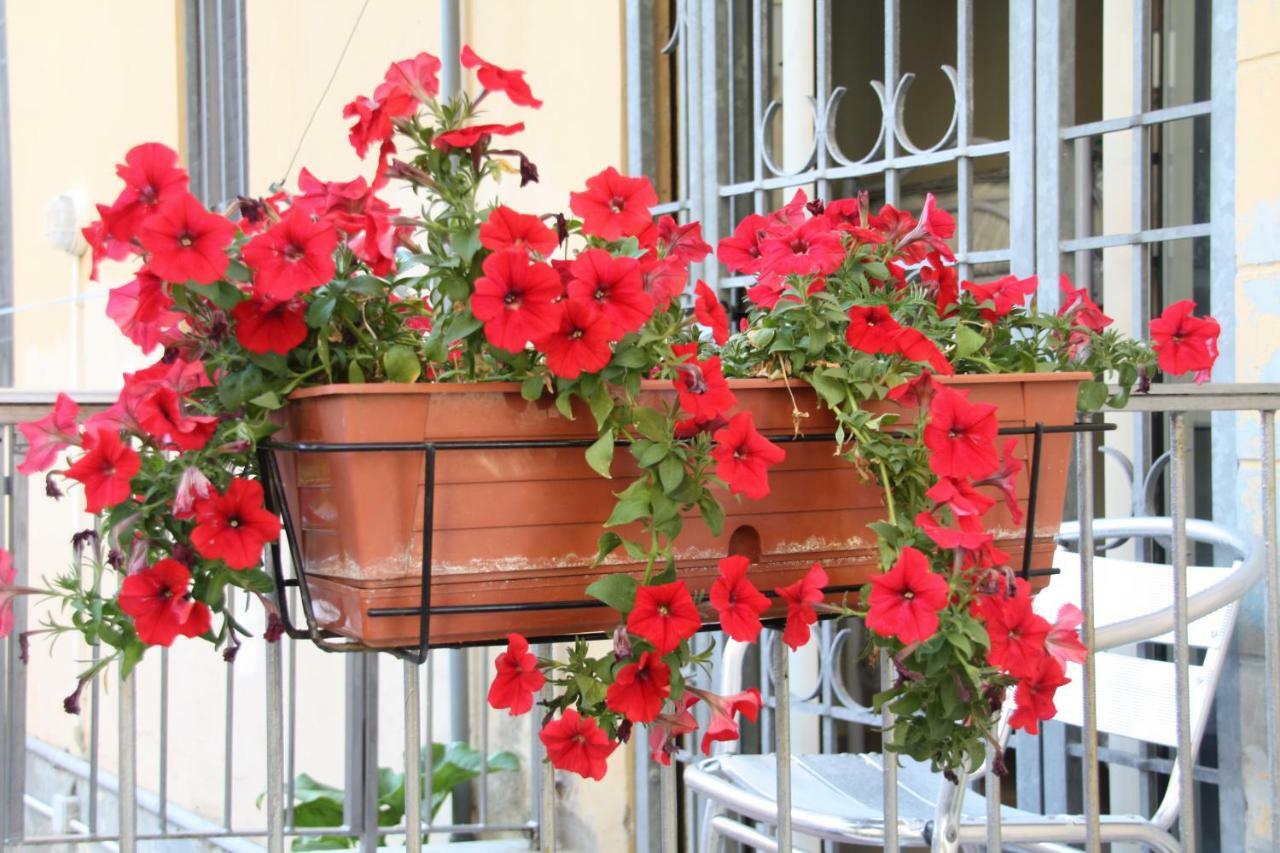 Pisa Town Bed & Breakfast Eksteriør bilde